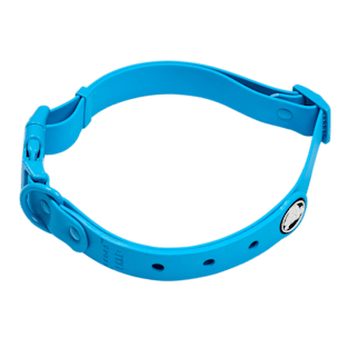 BarkBox Large Dog Collar