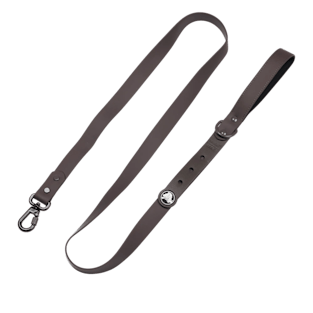 BarkBox Dog Leash
