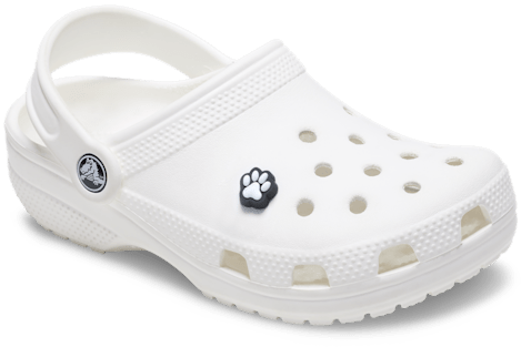 Pet Paw Print